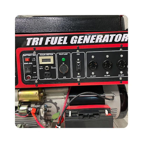 موتور برق جیانگ دانگ 12کیلووات تک فاز سه گانه سوز - 4